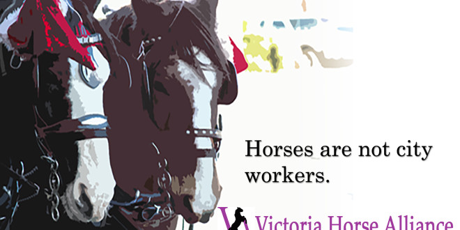 victoria carriage tours