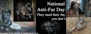 National anti fur day