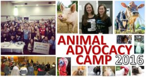 Animal Advocacy Camp